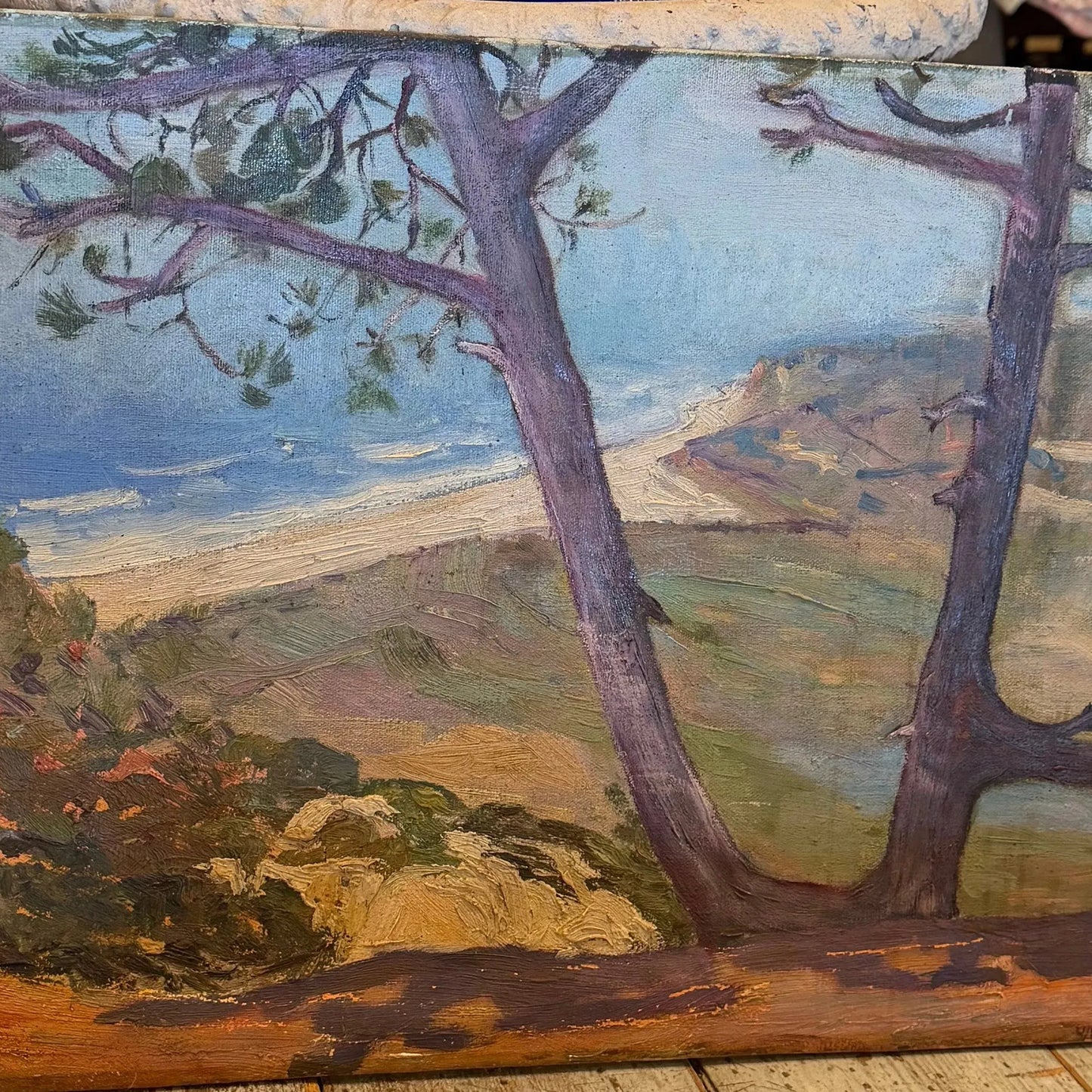 Vintage Tree Along the Coast Painting - Blue Springs Home