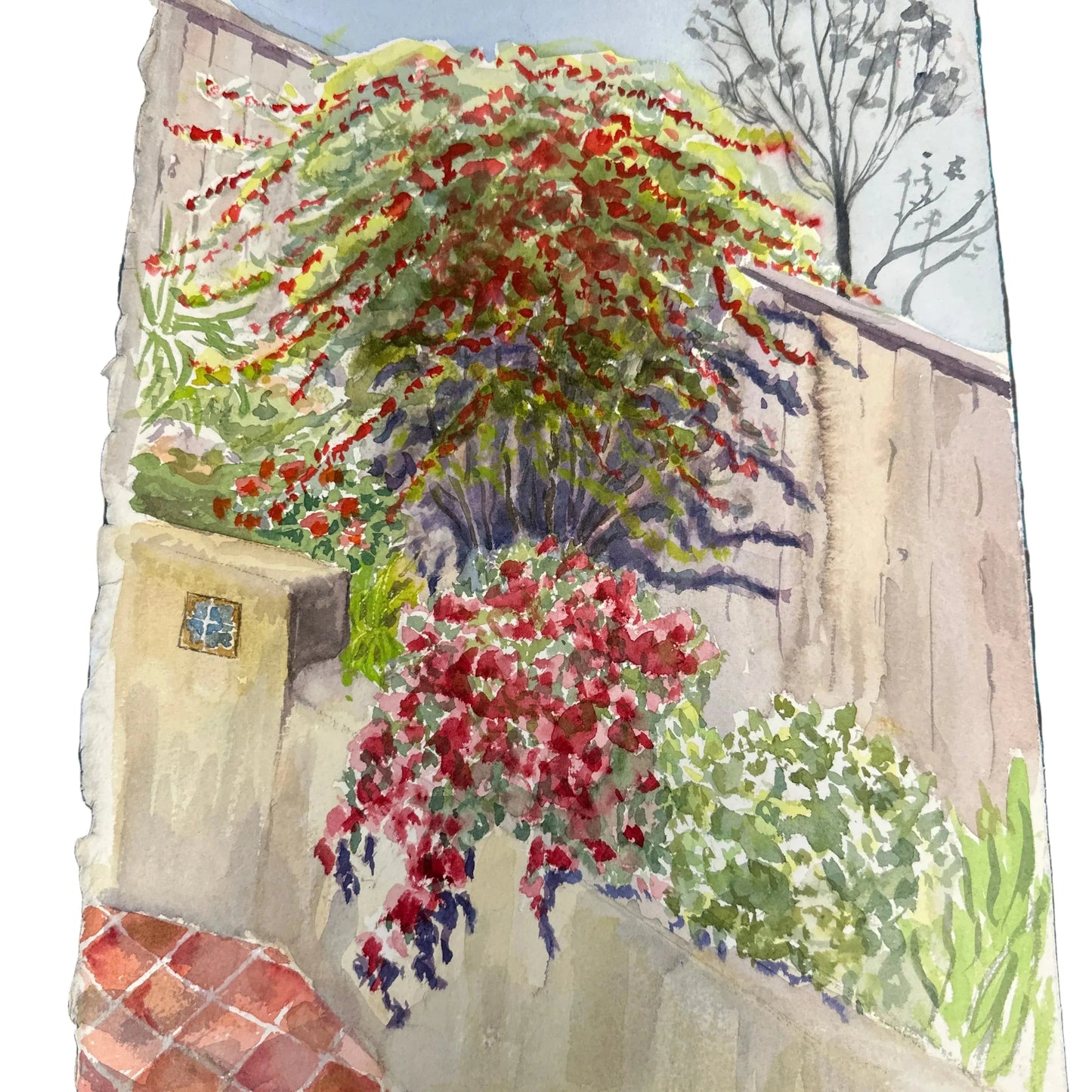 Original Artwork Bougainvillea SJC Mission 11x15” - Blue Springs Home