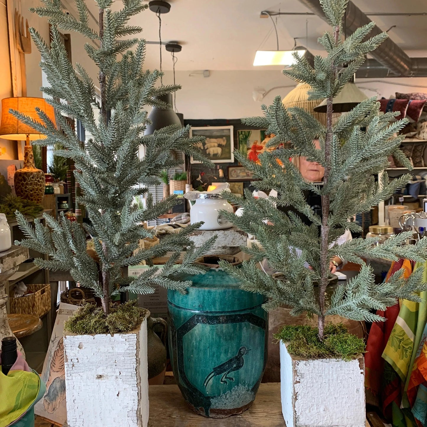 Large Salvage Flocked Trees in Box