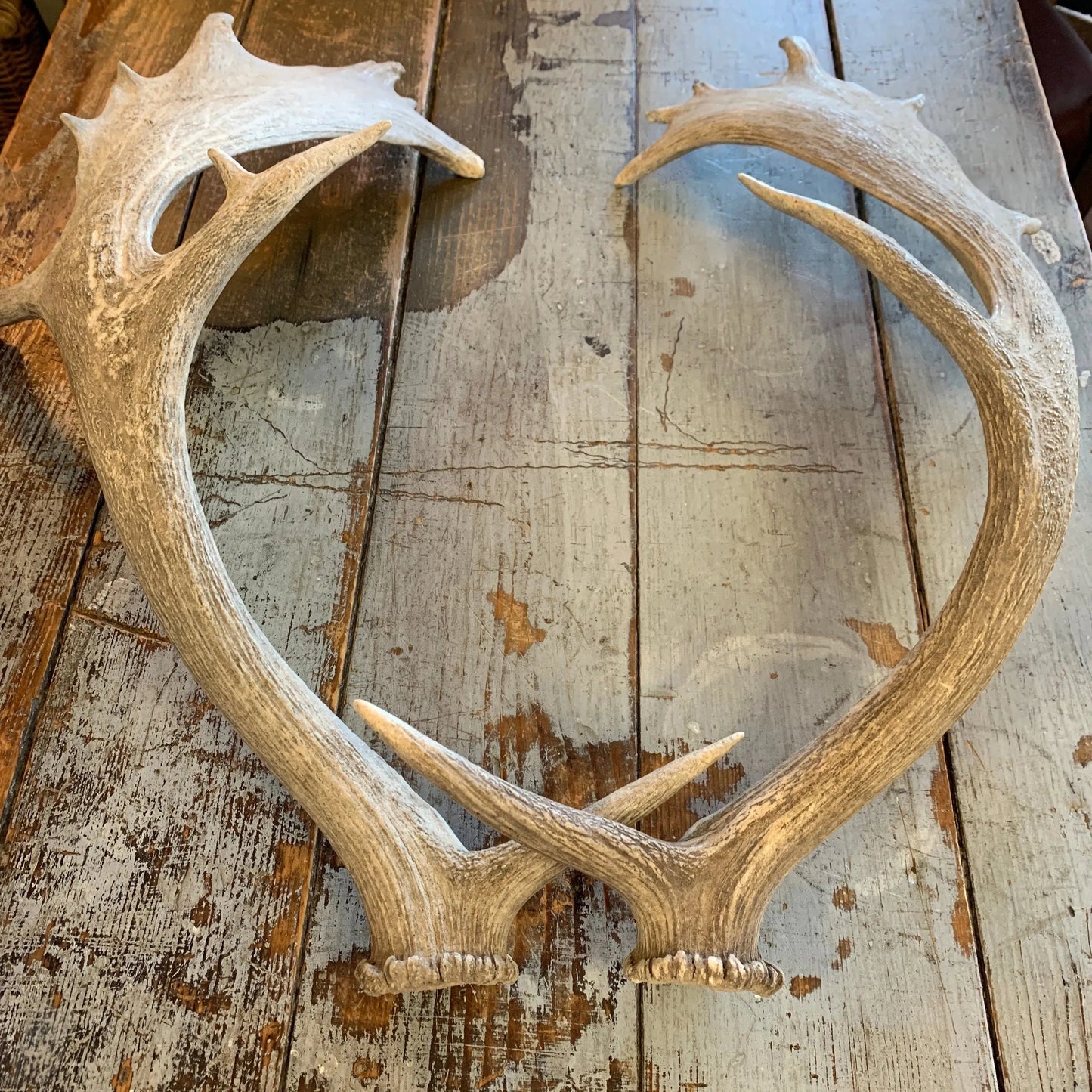 Pair Vintage Drop Antlers - Blue Springs Home