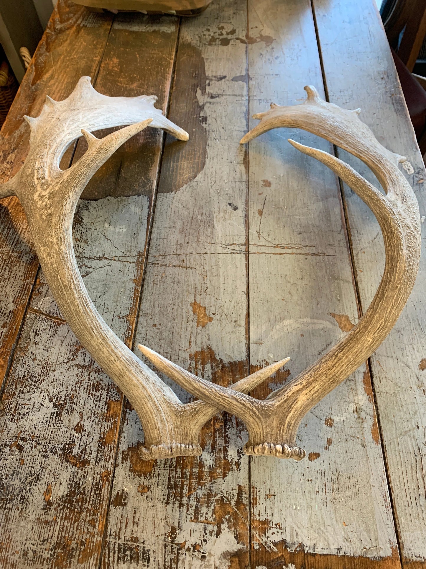Pair Vintage Drop Antlers