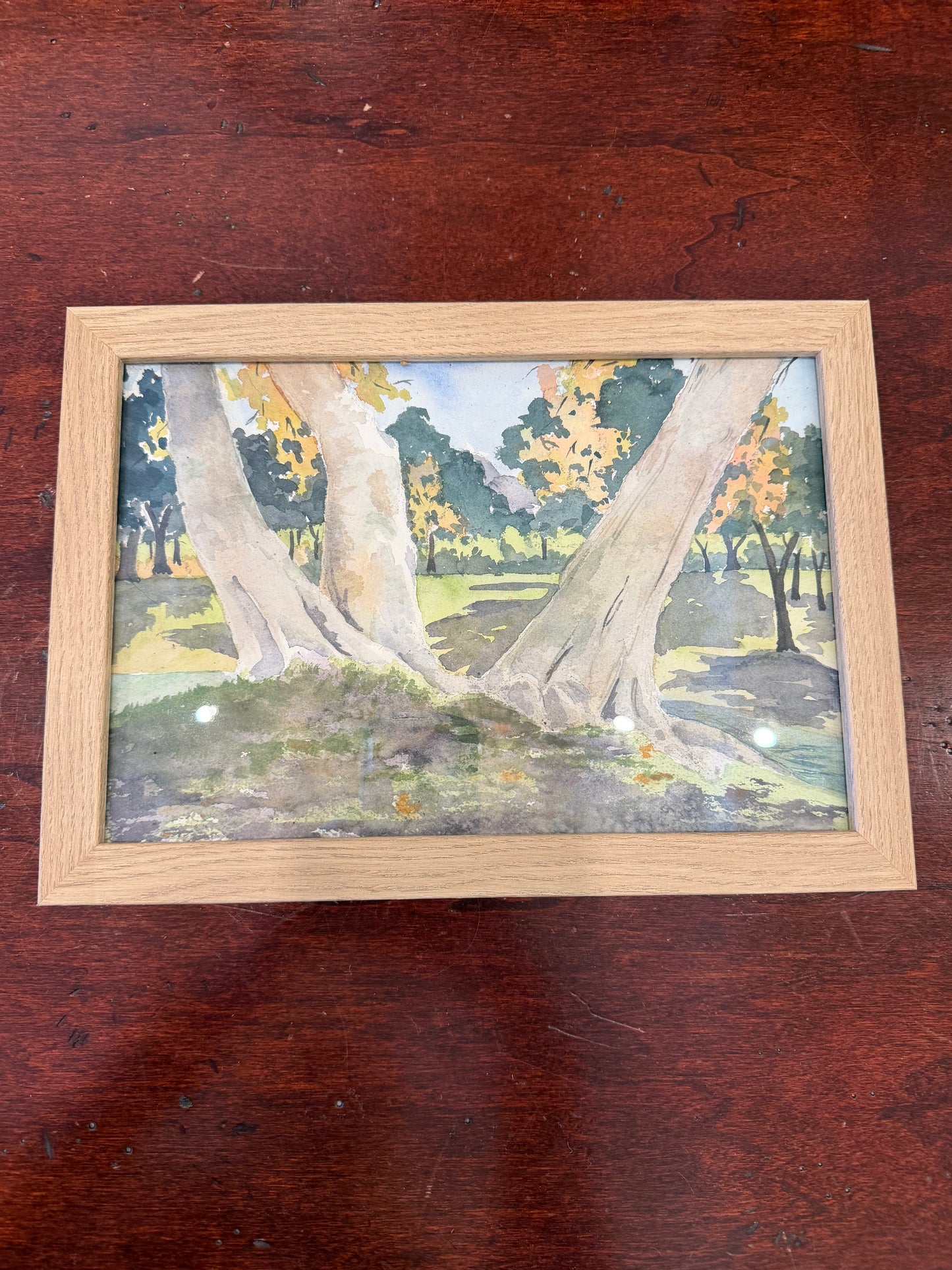 Bare Tree Trunks Watercolor