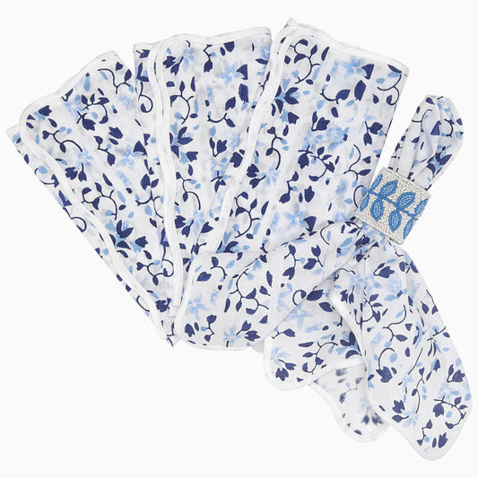 Rudra Napkins Set of 4