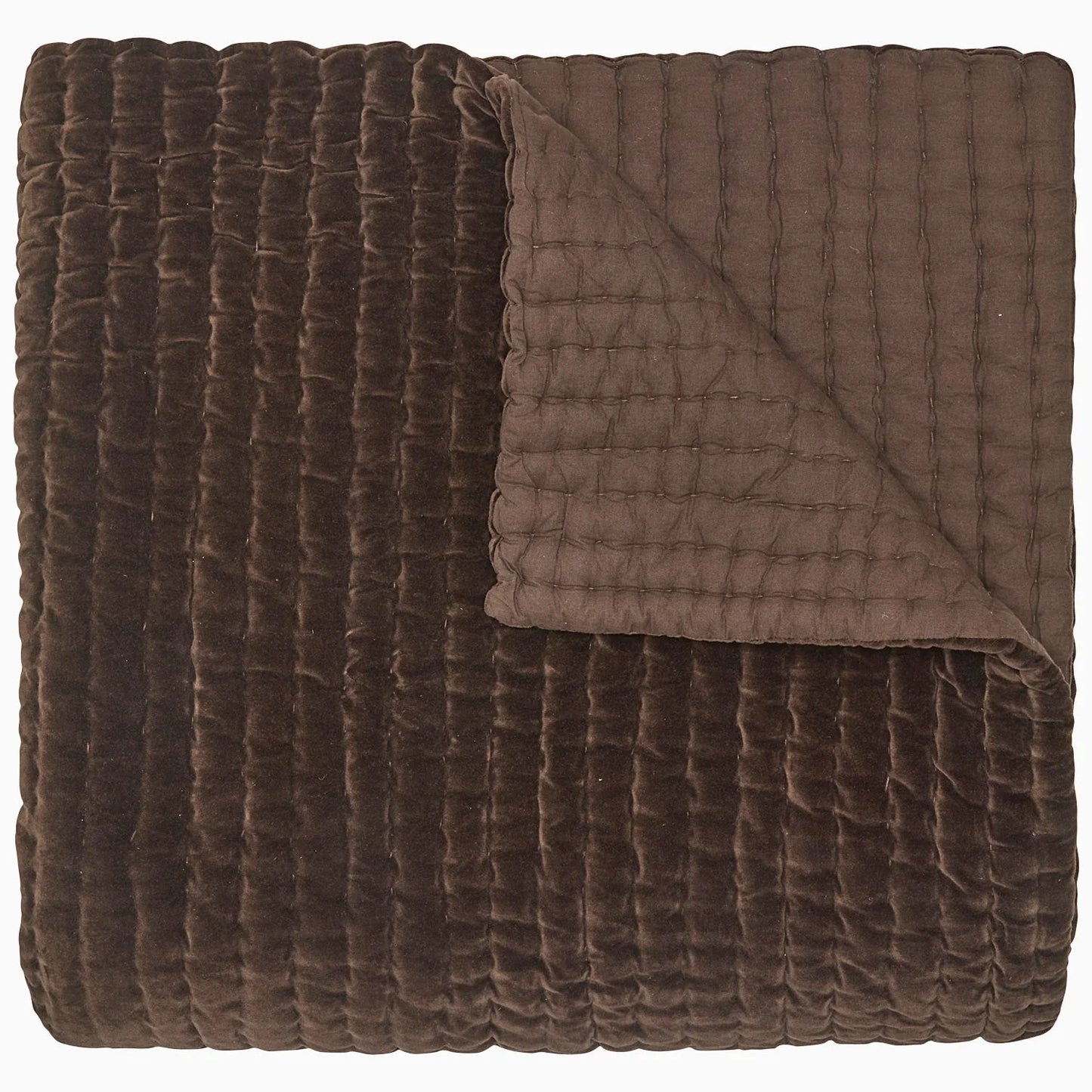 Cotton Velvet Coverlet