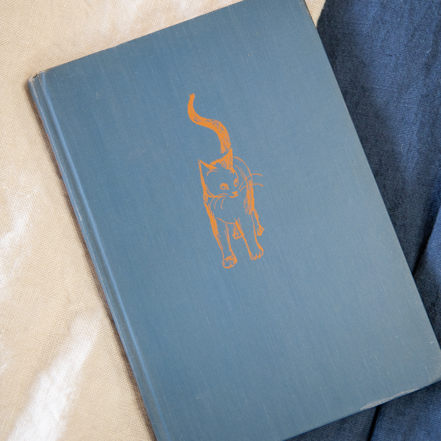 The Story of Serapina