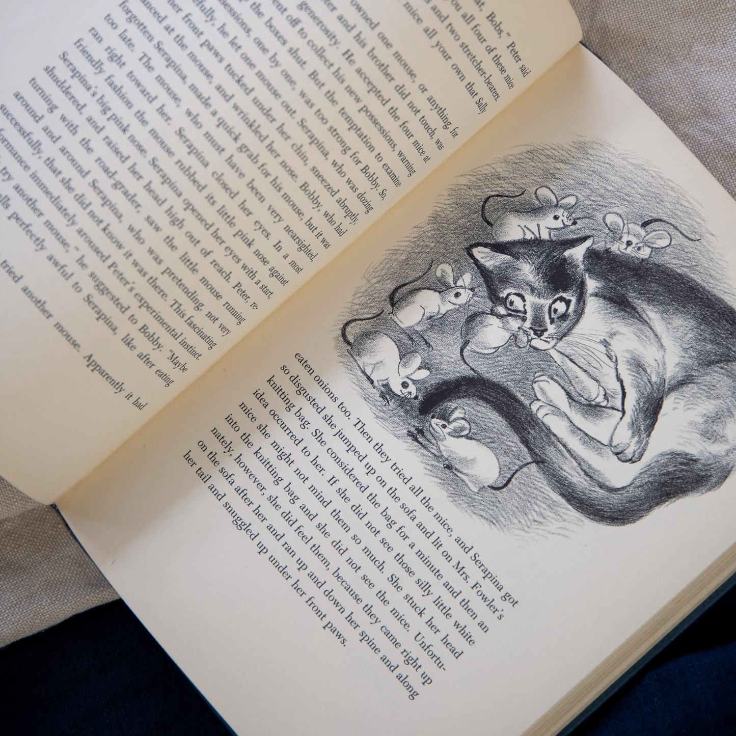 The Story of Serapina