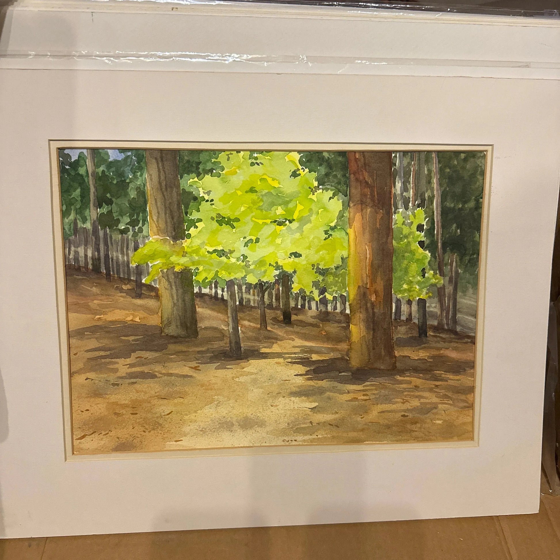 Original watercolor trees saplings fence matte large - Blue Springs Home