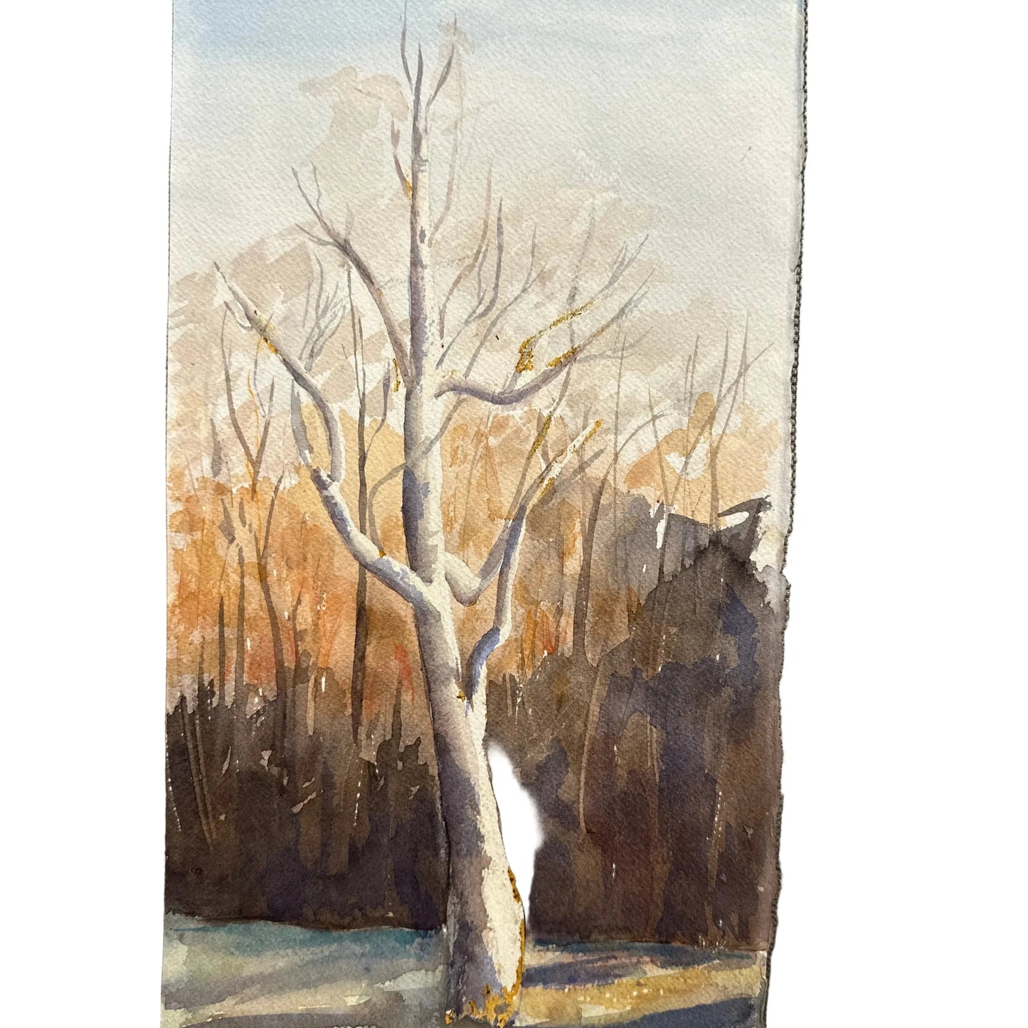 Original Watercolor Tall Bare Tree 8x15 - Blue Springs Home