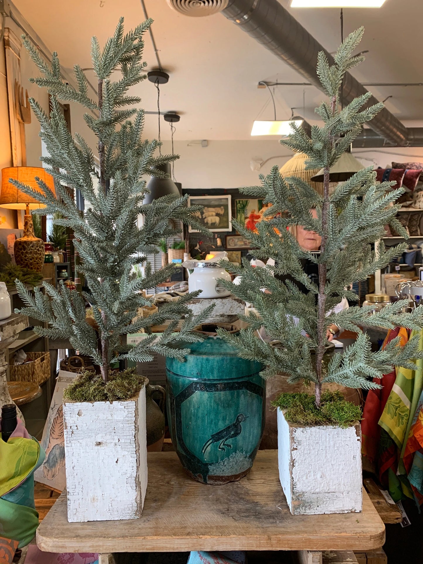 Large Salvage Flocked Trees in Box