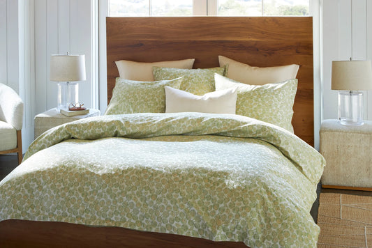 Euphorbia Duvet King SDH