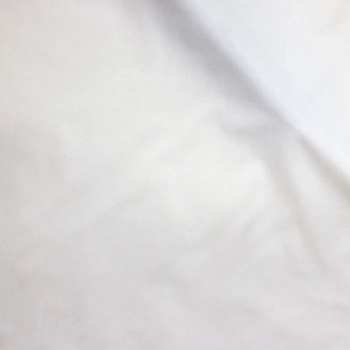 Capri Percale Flat Sheet QU - Blue Springs Home