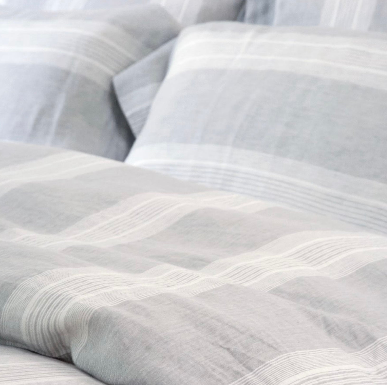 Sisco Sham - Blue Springs Home