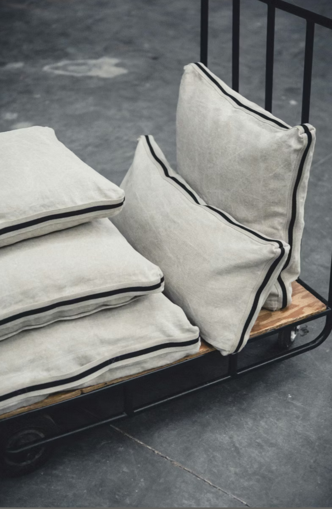 James Pillow Cover 25x25