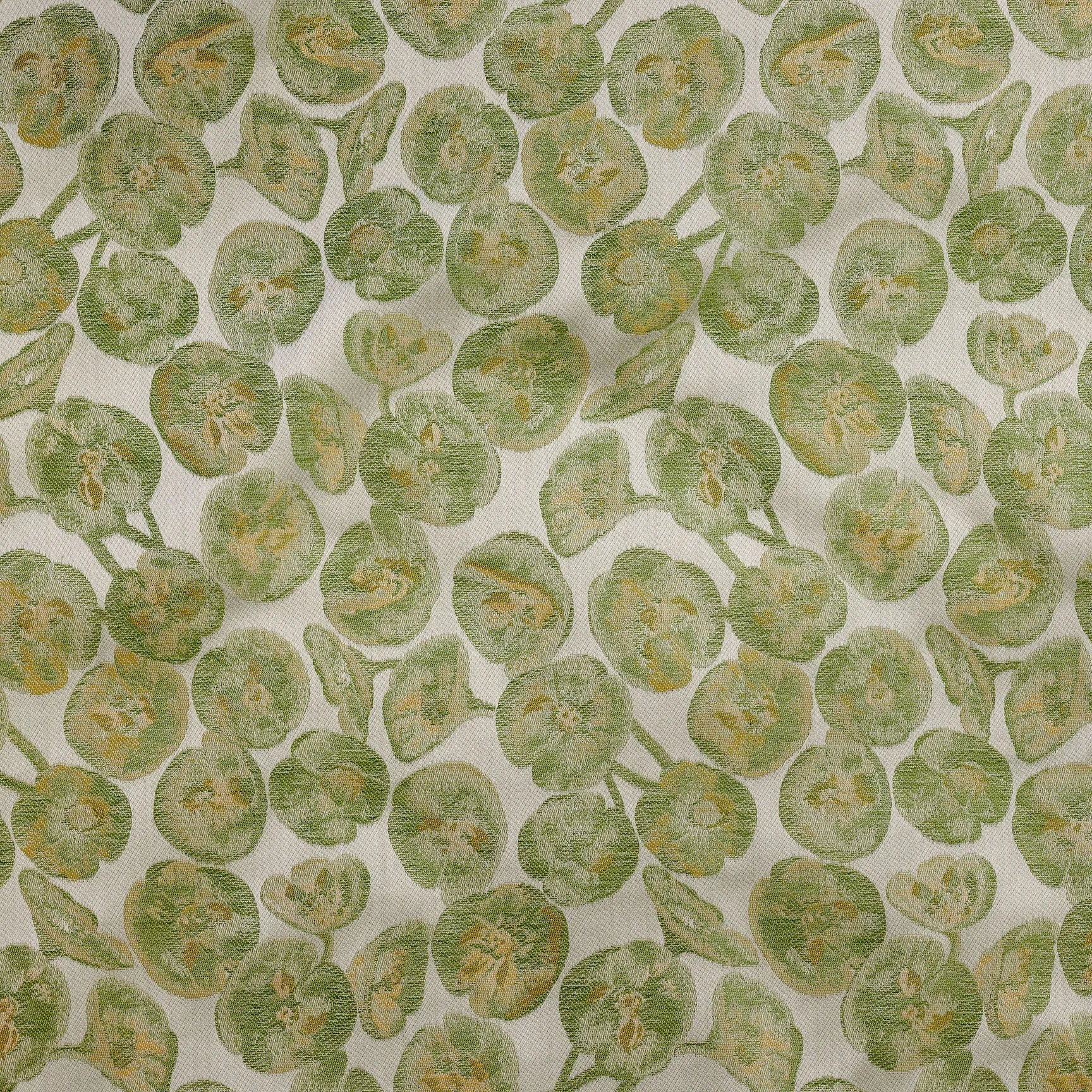 Euphorbia Case PC St - Blue Springs Home