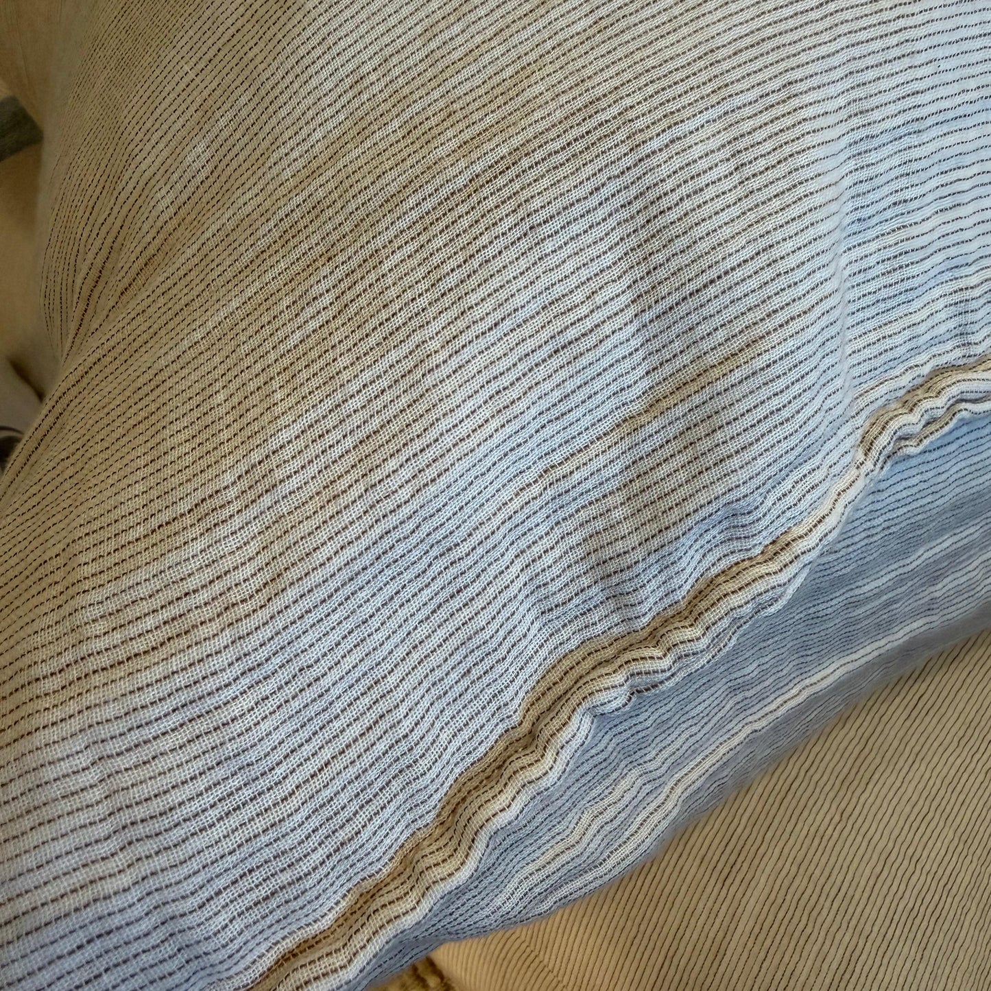 Cooper Sham D - Blue Springs Home