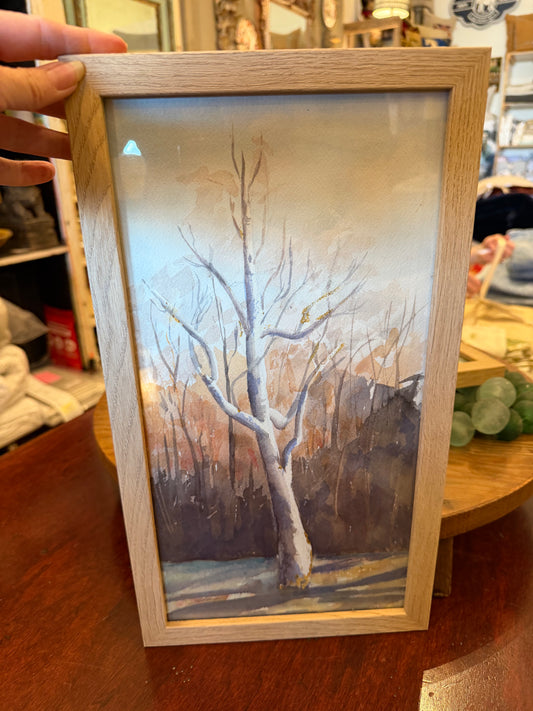 Bare Trees in Forrest Watercolor